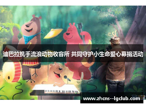 迪巴拉携手流浪动物收容所 共同守护小生命爱心募捐活动